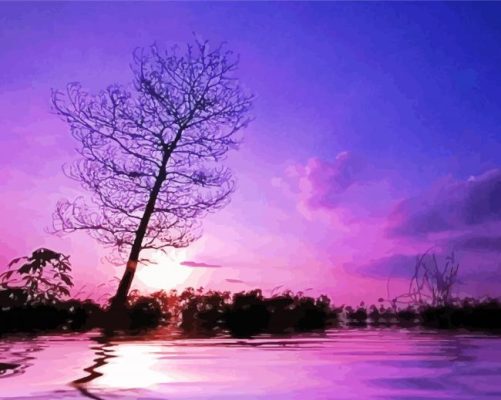 Lake Purple Night paint by number