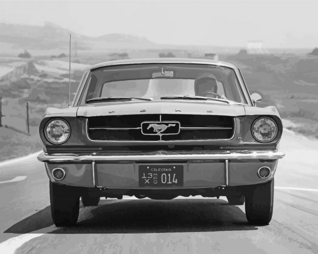 Old Black And White Ford Mustang paint by number