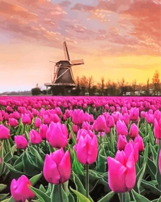 Pink Tulpen En Molen paint by number