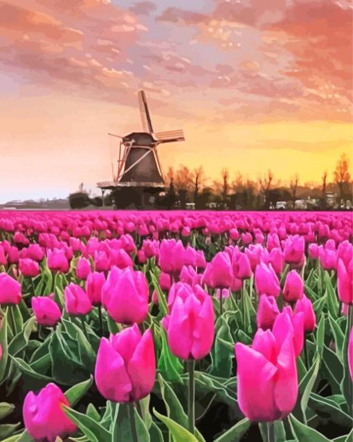 Pink Tulpen En Molen paint by number