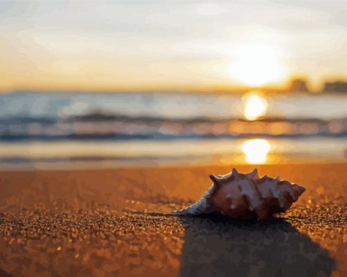 Seashells On Beach Sand paint by number