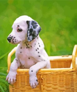 Sitting Dog In Basket paint by number