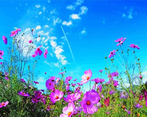 Summer Field Of Flowers paint by number