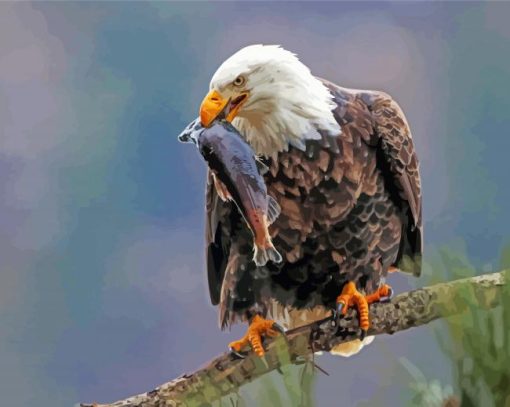 The Bird Bald Eagle On A Branch paint by number