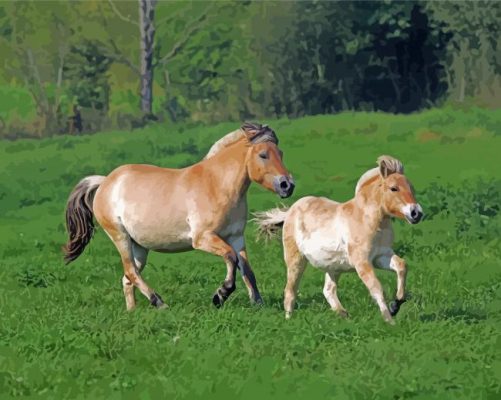 The Norwegian Fjord Horses Animals paint by number