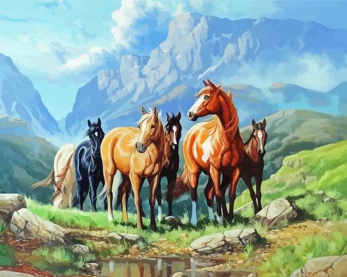 Wild Horses In The Wild Art paint by number