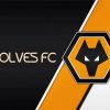 Wolves Fc paint by number