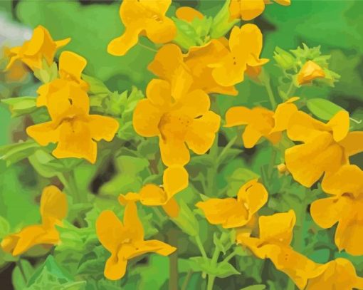 Yellow Monkeyflower paint by number
