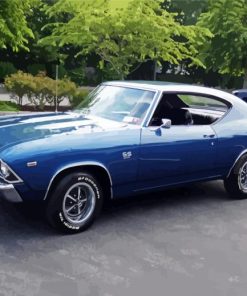 1969 Chevelle Ss 396 Car paint by number
