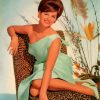 Actress Claudia Cardinale paint by number