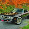 Aesthetic 78 Trans Am paint by number