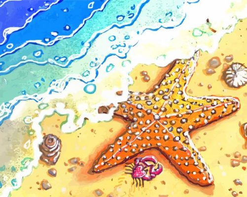 Aesthetic Starfish On Beach paint by number