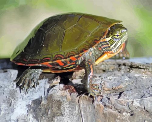 Aesthetic Turtle On A Log paint by number