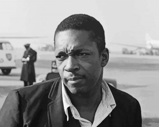 American Saxophonist John Coltrane Paint by number