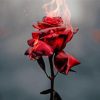 Artistic Red Rose On Fire paint by number
