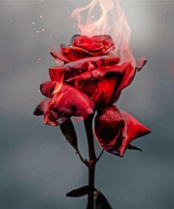 Artistic Red Rose On Fire paint by number