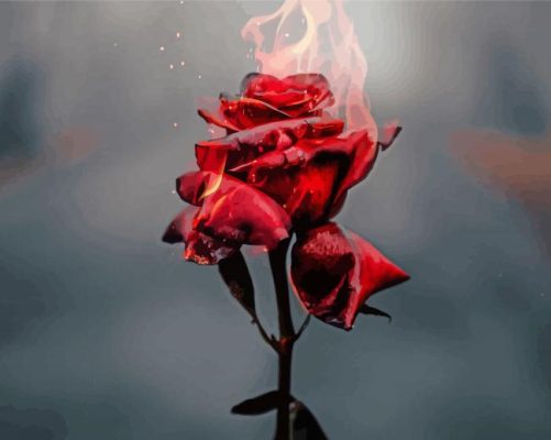 Artistic Red Rose On Fire paint by number