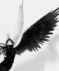 Black And White Angels Anime paint by number