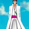 Bleach Sosuke Aizen paint by number