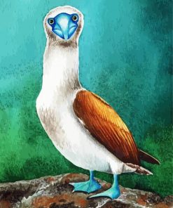 Blue Footed Booby paint by number