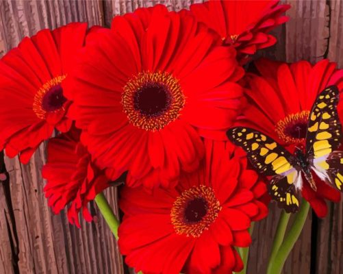 Butterfly On Red Gerbera Daisy paint by number