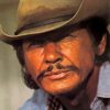 Charles Bronson paint by number