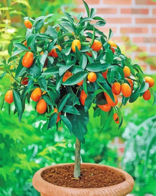 Citrus Tree Plant paint by number