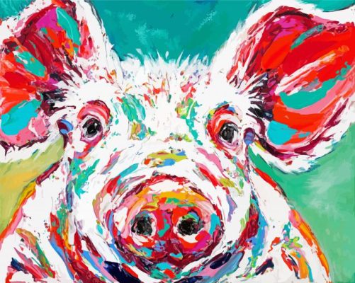 Colourful Pig Art paint by number