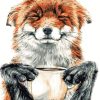 Cute Fox With Coffee paint by number