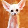 Cute Little Fennec Fox paint by number