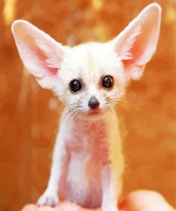 Cute Little Fennec Fox paint by number