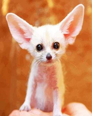 Cute Little Fennec Fox paint by number