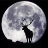 Deer And Full Moon Art paint by number