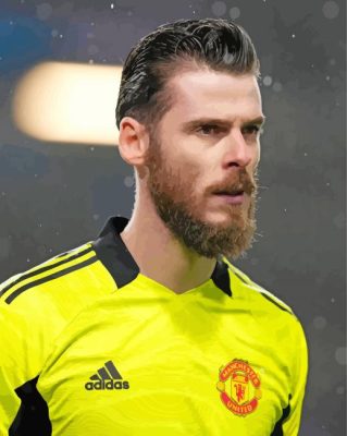 Footballer David De Gea paint by number