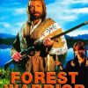 Forest Warrior Movie paint by number
