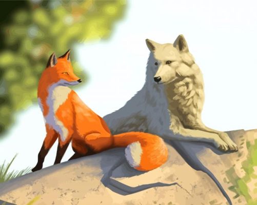 Fox And Wolf Animals paint by number