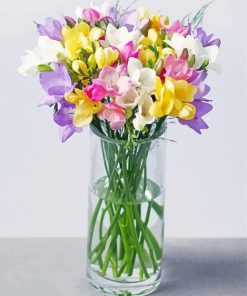 Freesias In Vase paint by number