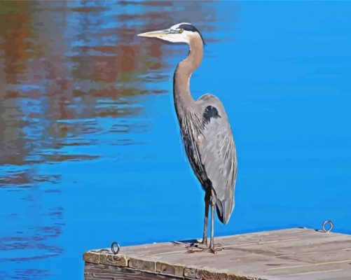 Great Blue Heron On Dock paint by number