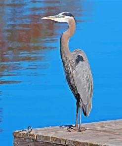 Great Blue Heron On Dock paint by number