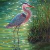 Great Blue Heron In A Swamp Art Paint by number