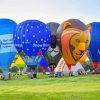 Hot Air Balloons Bristol paint by number