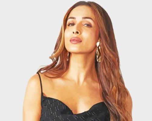 Malaika Arora Indian Actress paint by number