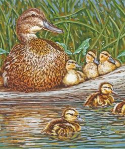 Mallard Duck Baby Birds paint by number