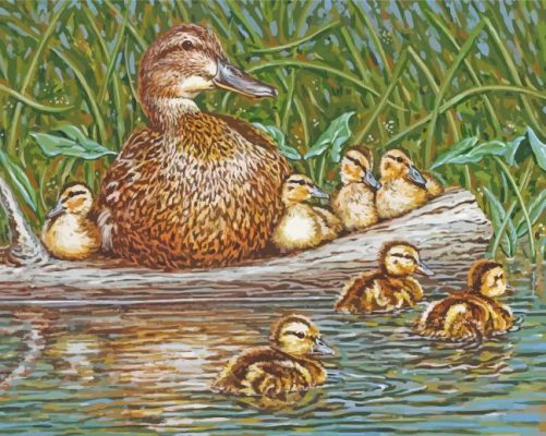 Mallard Duck Baby Birds paint by number