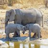 Mom Elephant With Two Babies paint by number