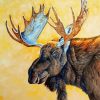 Moose Head Portrait Art paint by number