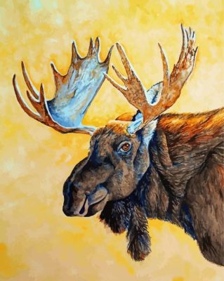 Moose Head Portrait Art paint by number