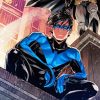 Nightwing Animation paint by number