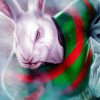 Nrl South Sydney Art paint by number