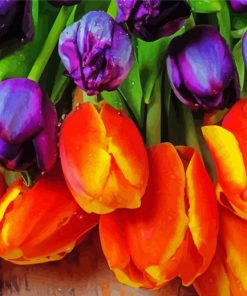 Orange Purple Tulip paint by number